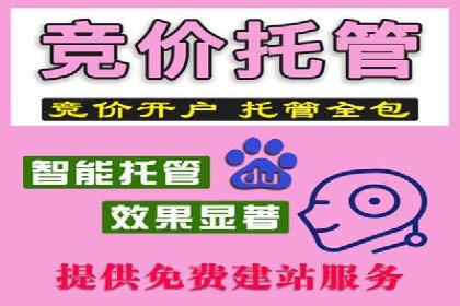 百度推广实战案例：从零开始打造爆款
